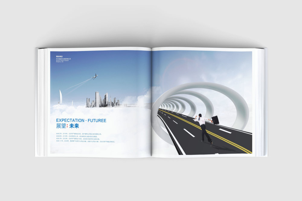 罗山县画册设计